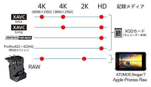 マルチコーディック対応