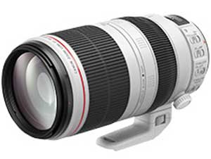EF100-400mm F4.5-5.6L